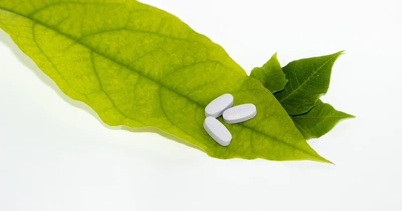 Homéopathie et phytothérapie : ce qui marche (et ce qui est surévalué)