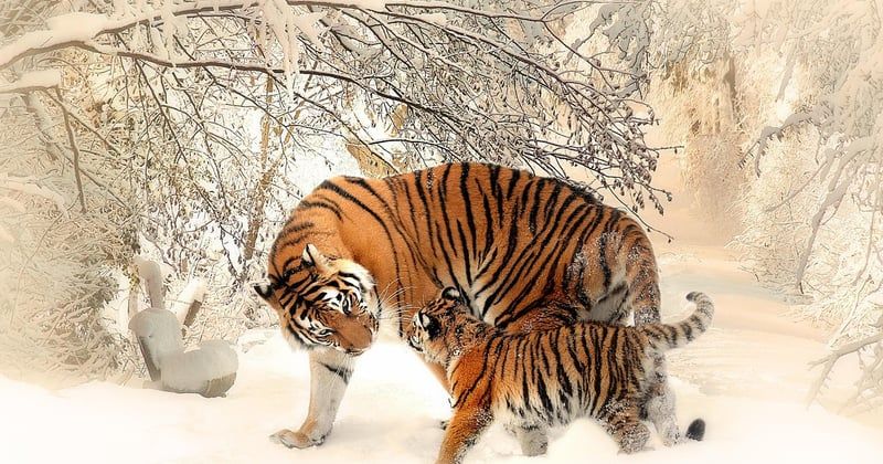 Le deuil d'un animal dans une famille : comment traverser cette épreuve ensemble